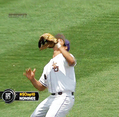 Tijger GIF. Dieren Tong Tijger Gifs Majestueus 