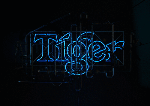 Dieren Tijger Gifs grommen welp 