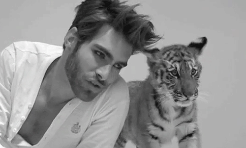 Dieren Tijger Gifs oog 