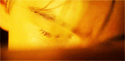 Titanic GIF. Bioscoop Films en series Titanic Gifs 