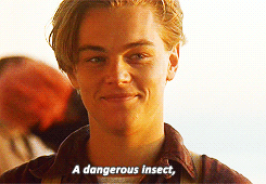Films en series Titanic Leonardo dicaprio Gifs Filmsterren 