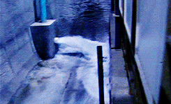 Titanic GIF. Bioscoop Films en series Titanic Gifs 