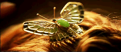 Titanic GIF. Liefde Films en series Titanic Gifs Traumpaar. 