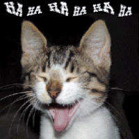 Tom Cruise GIF. Gifs Filmsterren Tom cruise Opgewonden Familieman Oprah Divan 