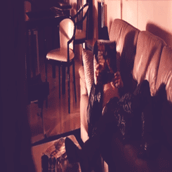 Tom Cruise GIF. Gifs Filmsterren Tom cruise Jumping Oprah Divan 