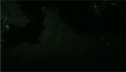 Tom Cruise GIF. Film Blij Zonnebril Gifs Filmsterren Tom cruise Risky business 