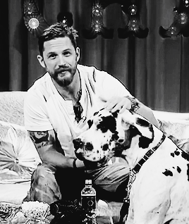 Tom Hardy GIF. Gifs Filmsterren Tom hardy Stfu Kut 