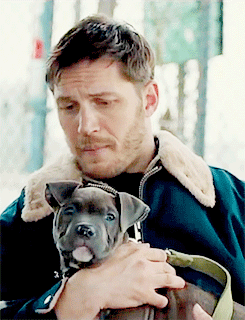 Honden GIF. Dieren Gifs Hond Filmsterren Tom hardy The drop Bob saginowski 