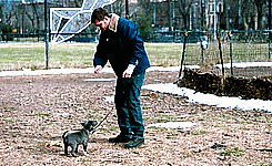 Tom Hardy GIF. Gifs Filmsterren Tom hardy The drop De daling van de film 