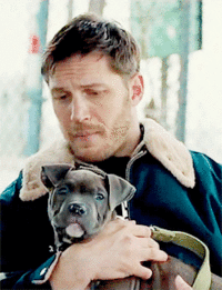 Tom Hardy GIF. Gifs Filmsterren Tom hardy 