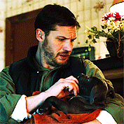 Tom Hardy GIF. Dieren Gifs Hond Filmsterren Tom hardy The drop Bob saginowski 