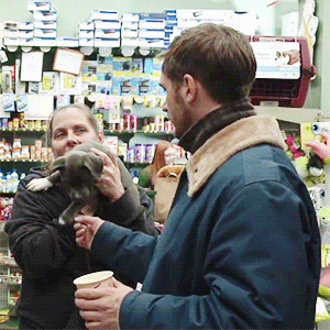 Tom Hardy GIF. Gifs Filmsterren Tom hardy Stfu Kut 