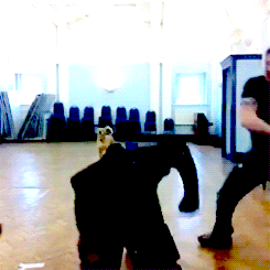 Tom Hardy GIF. Interview Gifs Filmsterren Tom hardy Gerard butler Idris elba Britse acteurs Rots n rolla Guy richie 