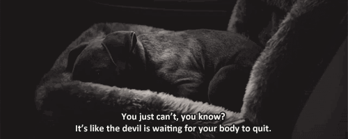 Tom Hardy GIF. Gifs Filmsterren Tom hardy The drop De daling van de film 