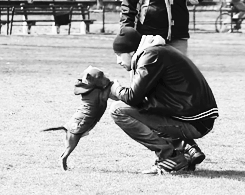 Tom Hardy GIF. Gifs Filmsterren Tom hardy Dierenrijk 