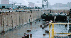 Tom Hardy GIF. Gifs Filmsterren Tom hardy The drop De daling van de film 