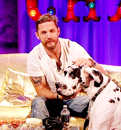 Tom Hardy GIF. Gifs Filmsterren Tom hardy Jonathon ross Hardy keurt 