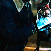 Tom Hardy GIF. Dieren Gifs Hond Filmsterren Tom hardy The drop Bob saginowski 