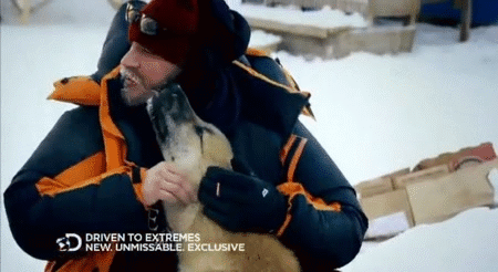 Tom Hardy GIF. Gifs Filmsterren Tom hardy The drop Noomi rapace 