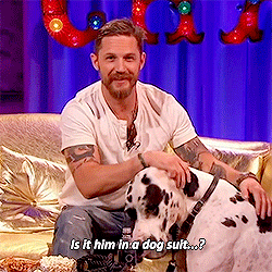 Honden GIF. Dieren Gifs Hond Filmsterren Tom hardy The drop Bob saginowski 
