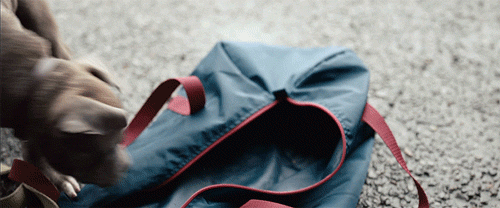 Tom Hardy GIF. Gifs Filmsterren Tom hardy The drop Noomi rapace 