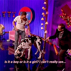 Tom Hardy GIF. Gifs Filmsterren Tom hardy The drop Noomi rapace 