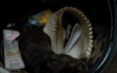 Tom Hardy GIF. Sexy Gifs Filmsterren Tom hardy Wenk Knipogen 