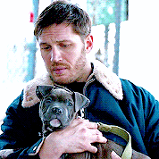 Tom Hardy GIF. Gelukkig nieuwjaar Gifs Filmsterren Tom hardy The drop 