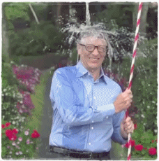 Tom Hiddleston GIF. Gifs Filmsterren Tom hiddleston Sarcastisch Verveeld Sarcasme Benedict cumberbatch 