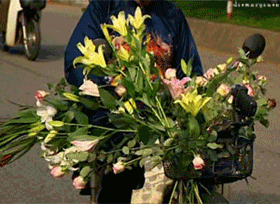 Top Gear GIF. Films en series Gifs Top gear Jeremy clarkson 