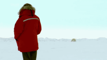 Films en series Gifs Top gear james may madison Welch 