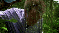 Top Gear GIF. Films en series Tv Gifs Top gear 