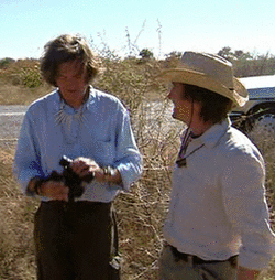 Top Gear GIF. Films en series James Gifs Top gear May 