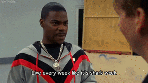 Tracy Morgan GIF. Gifs Filmsterren Tracy morgan Emmy&amp;#39;s 2015 