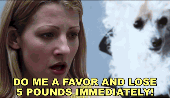 Will Ferrell GIF. Cheerleaders Gifs Filmsterren Will ferrell Au Eerbied Eerlijk Cheri oteri Kwetst 