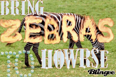 Dieren Zebra Gifs 