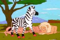 Zebra GIF. Dieren Zebra Leeuw Gifs Johnnysdeathwish 