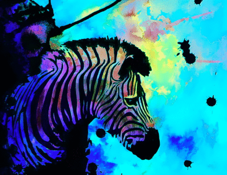 Dieren Zebra Gifs drugs trip trippy psychedelische zuur gestenigd 