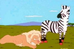 Zebra GIF. Dieren Zebra Leeuw Gifs Johnnysdeathwish 