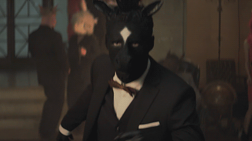Dieren Zebra Gifs smoking laden dallop 