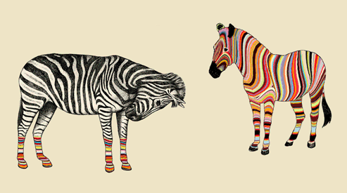 Dieren Kunst Zebra Kleurrijk Gifs 