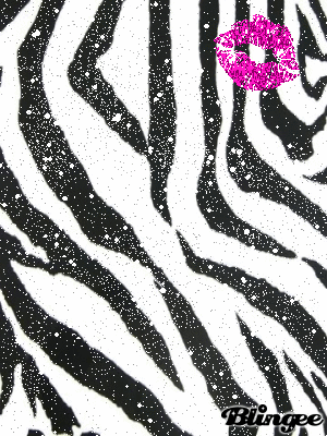 Dieren Zebra Gifs 