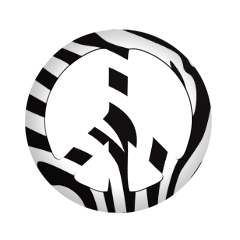 Zebra GIF. Dieren Zebra Gifs 