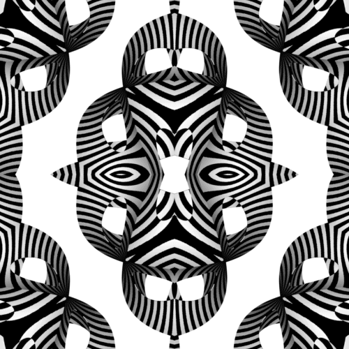Dieren Zebra Gifs 