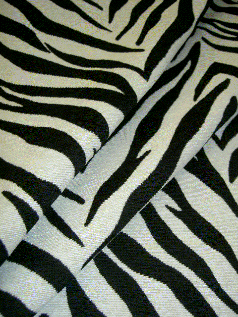Dieren Zebra Gifs 