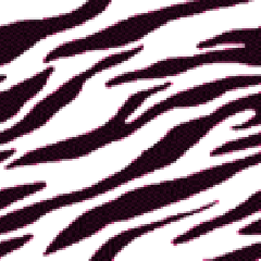Zebra GIF. Dieren Zebra Tijger Kleuren Gifs Knipperen 
