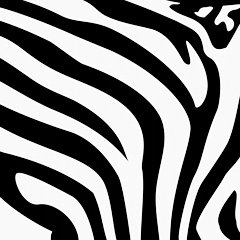 Dieren Zebra Gifs 