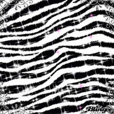 Dieren Zebra Gifs 