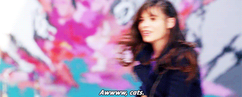 Zooey Deschanel GIF. Gifs Filmsterren Zooey deschanel New girl 