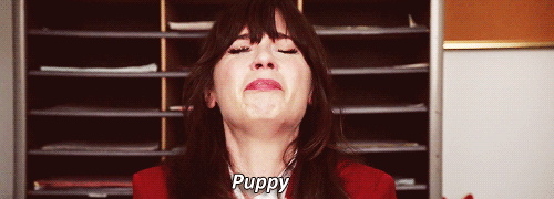 Zooey Deschanel GIF. Gifs Filmsterren Zooey deschanel Lachend 